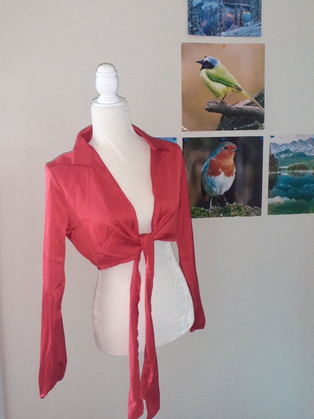 DAISY- Red Collared Crop Top- SZ: M